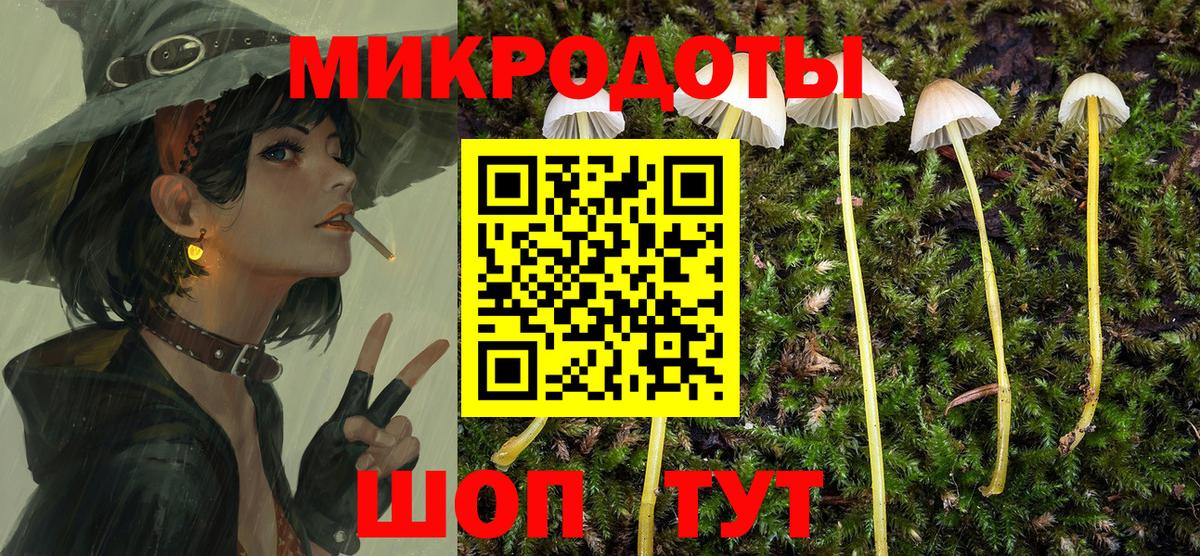 Галлюциногенные грибы Magic Shrooms Евпатория