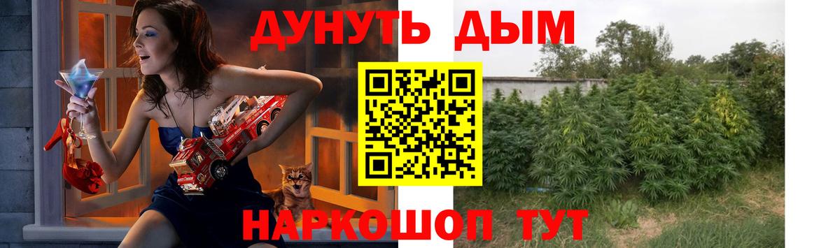 Конопля Ganja  Вход с VPN  Каннабис ГИДРОПОН  Канабис THC 21%  Евпатория  МАРИХУАНА Bruce Banner 